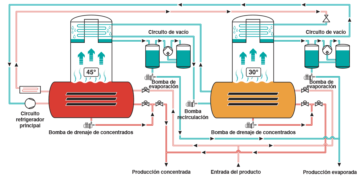 Proceso