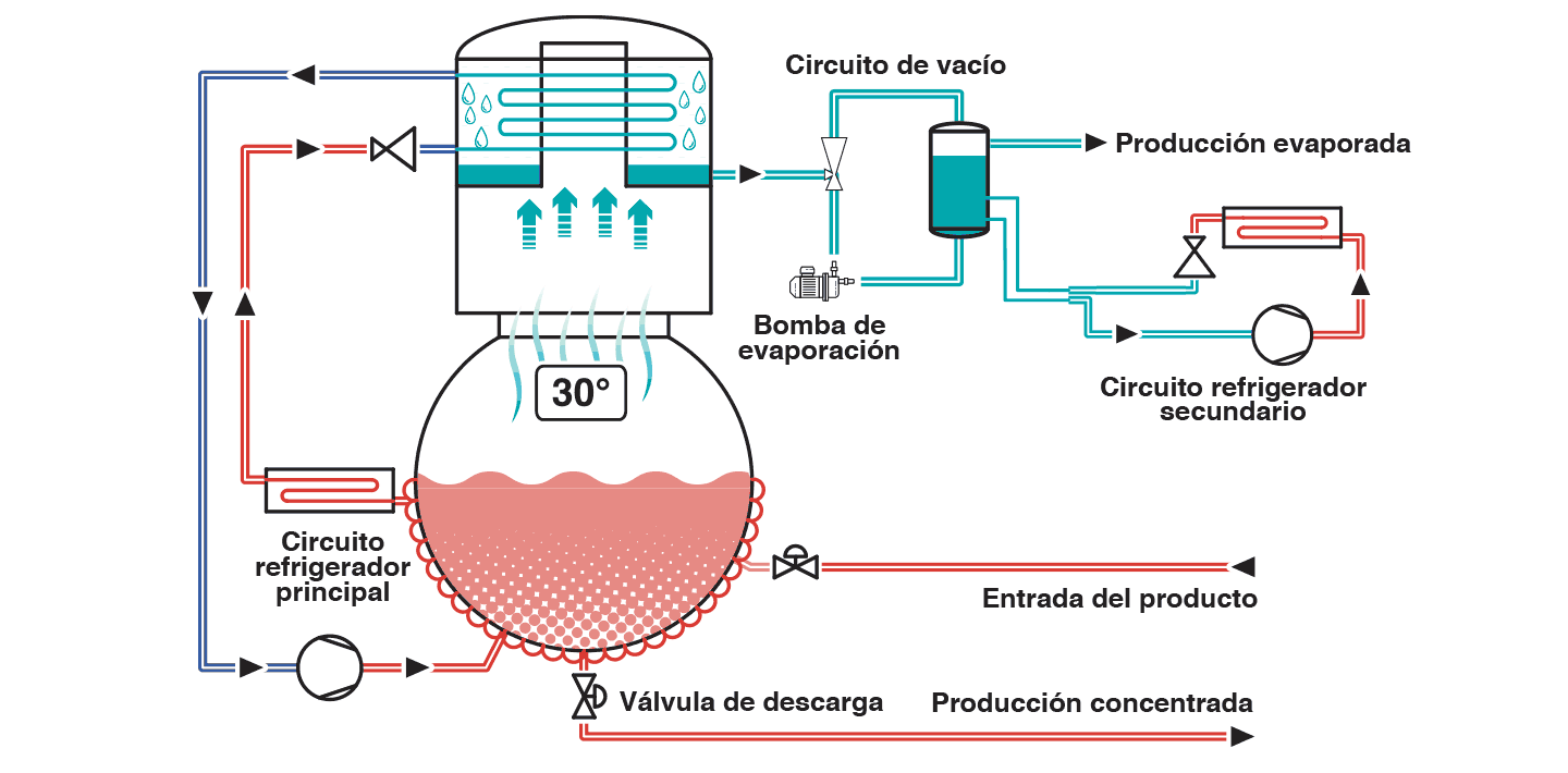 Proceso