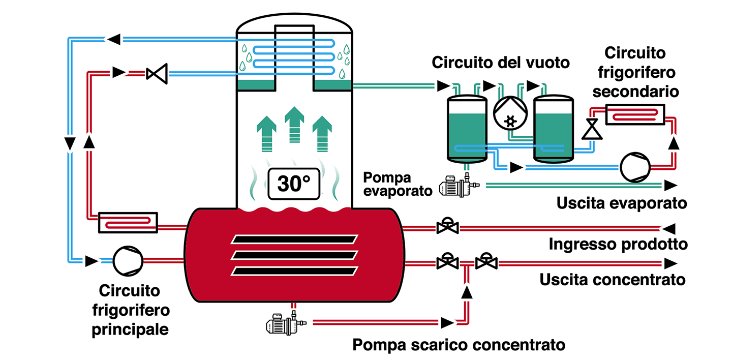 Processo